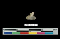 藏品(水晶)的圖片